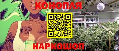 дурь Славгород
