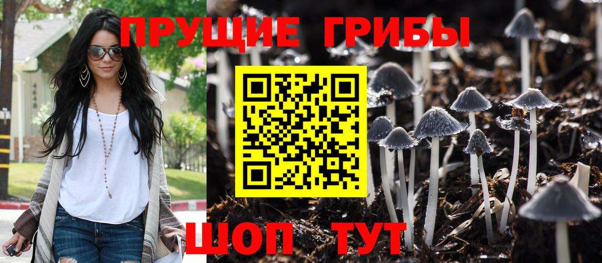 Ангарск  Галлюциногенные грибы Cubensis  Вход с VPN  Галлюциногенные грибы мицелий 